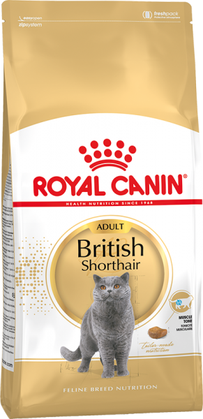 britishshorthairadult