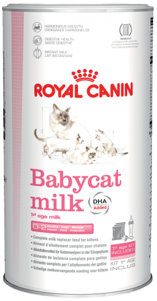 c_babycat_milk