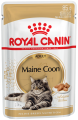 e_maine-coon-wet