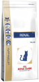 g_renal-feline