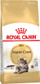 mainecoonadult