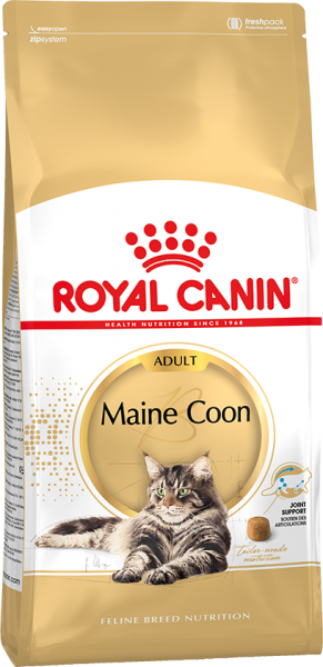 mainecoonadult