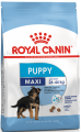 maxi_puppy