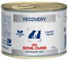 recovery