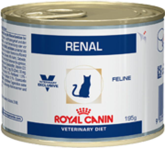 renal
