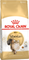 siberian_adult