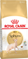 sphynxadult