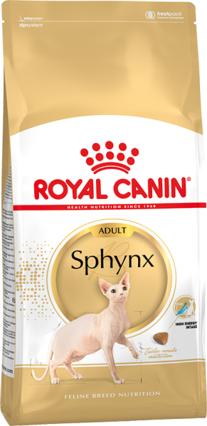 sphynxadult