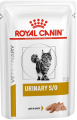 urinary_cats_pashtet_s